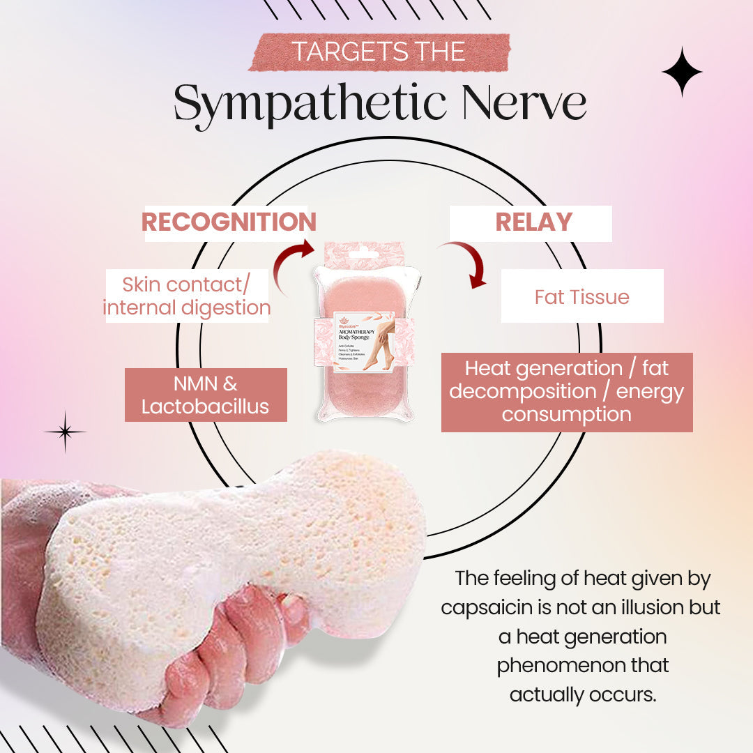 Blyssable™ Aromatherapy Body Sponge